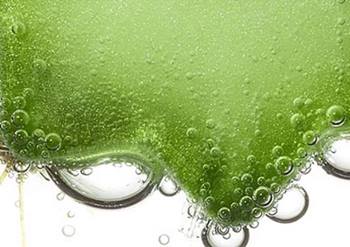 Fortalecer con hidratación