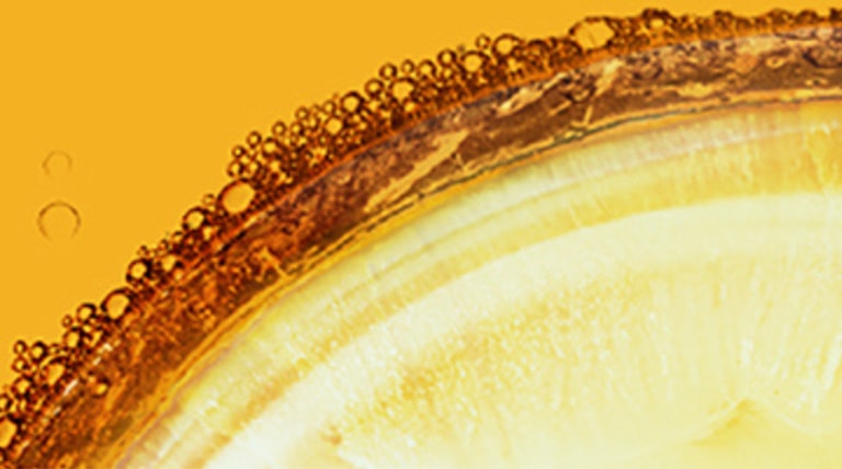 para que sirve el aceite de coco en el cabello