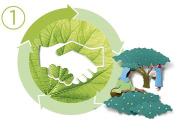 garnier green beauty mexico abastecimiento