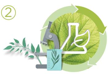 garnier green beauty mexico formulas ecologicas