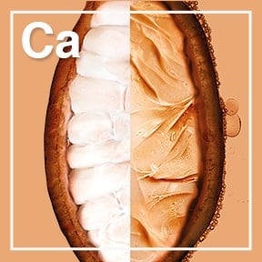 ing hair cacao 288x288 08