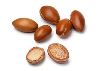 beneficios-de-la-tuerca-de-marruecos