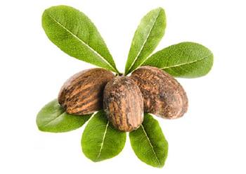 7 11 02a content block v1