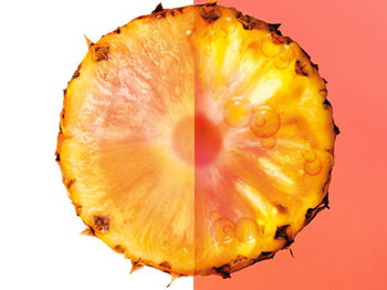 BANNER TEXTURA PINA 600X450 01